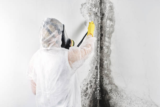 Best Ceiling water damage repair  in West Chester, PA